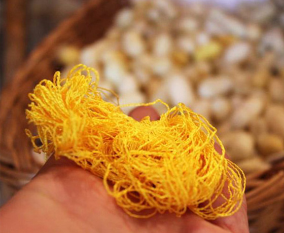 tale of silk konavle